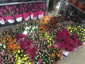 floristry-0055