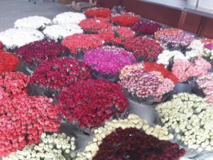 floristry-0059