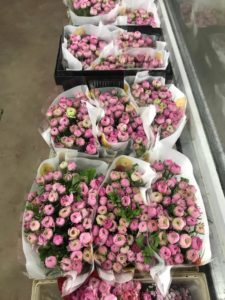 floristry-0106